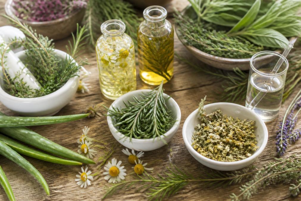Best Botanical Ingredients for Hair Follicle Stimulation