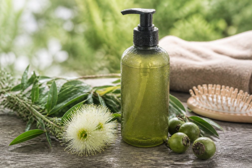 Plant-Based Shampoo to Prevent Seasonal Hair Shedding