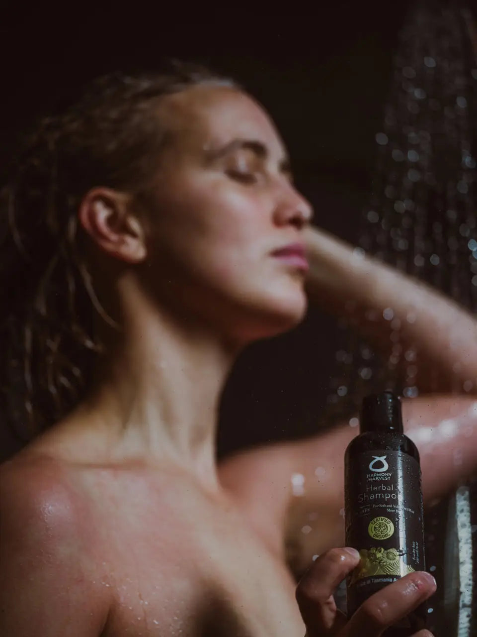 Shampoo and Conditioner Rosemary