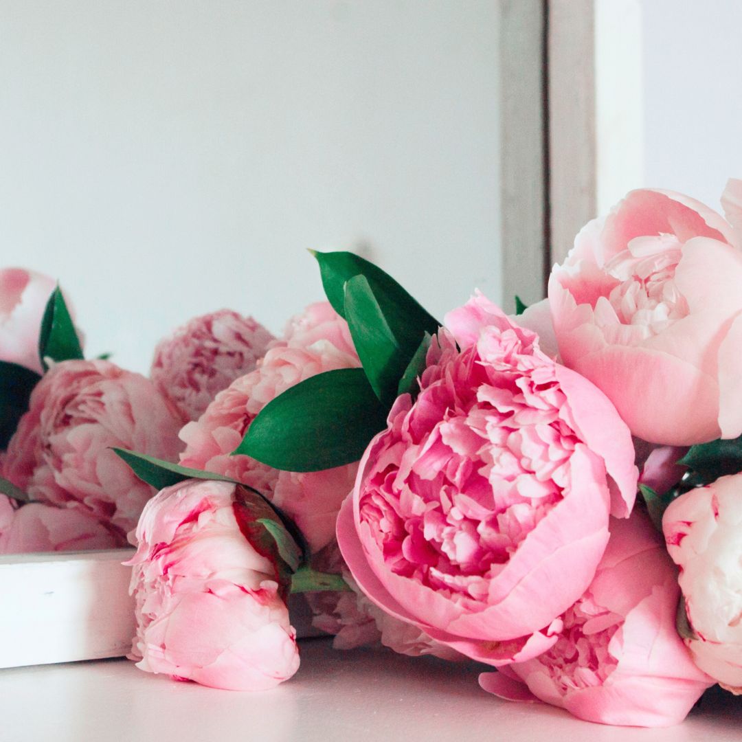 Peony Restore Cream