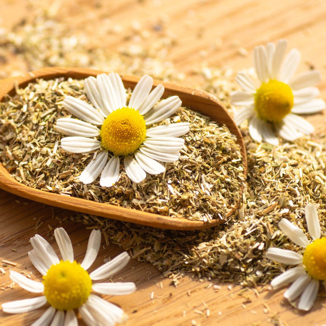Herbal Conditioner Chamomile