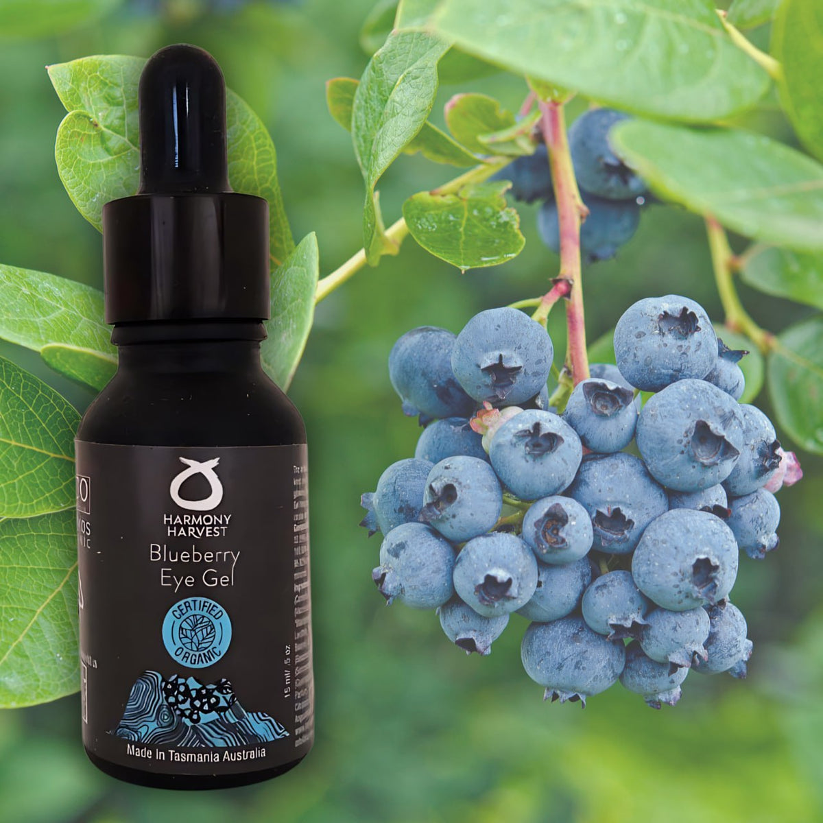 Blueberry Bright Eye Gel