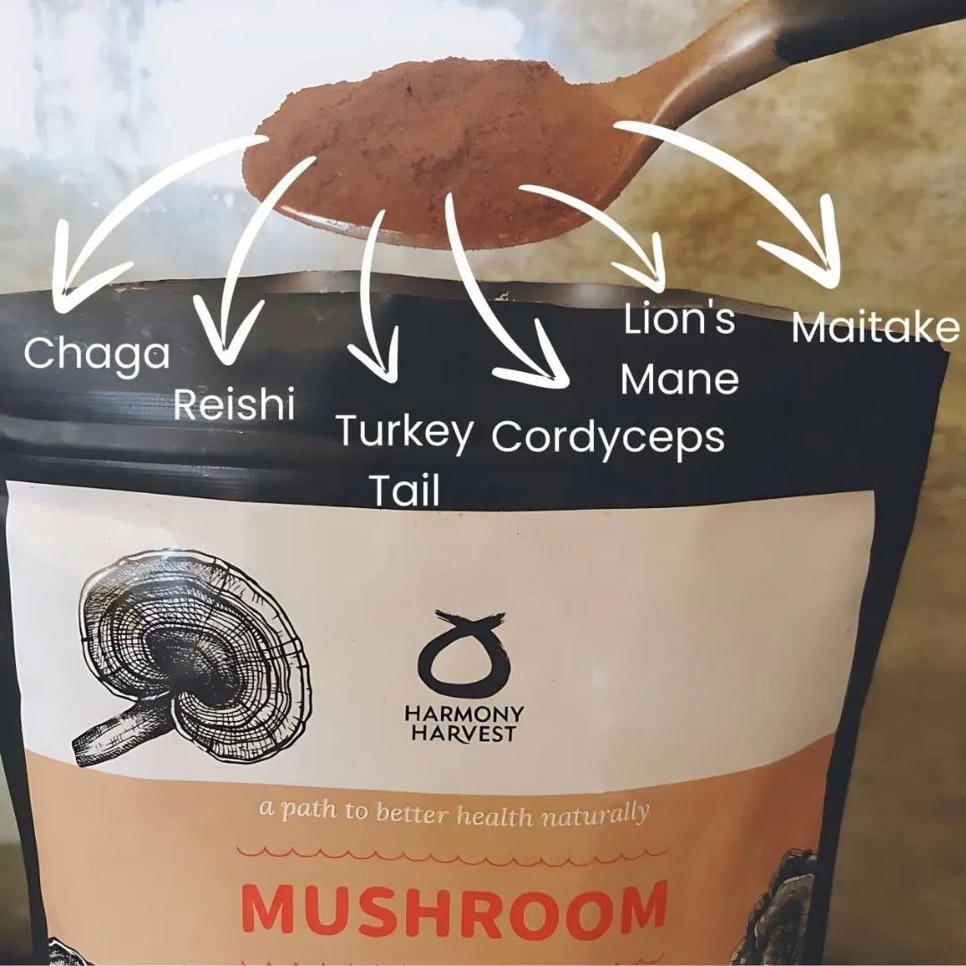 Mushroom Immunity Booster