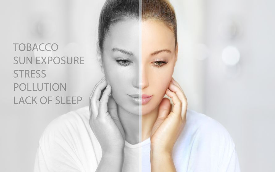 factors that contribute to the development of wrinkles and fine lines